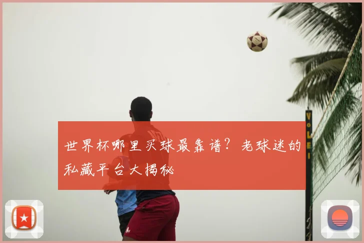 世界杯哪里买球最靠谱？老球迷的私藏平台大揭秘