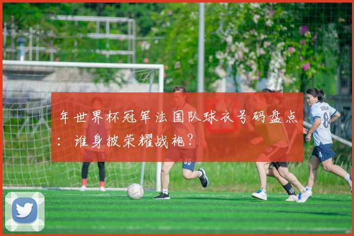 年世界杯冠军法国队球衣号码盘点:谁身披荣耀战袍?