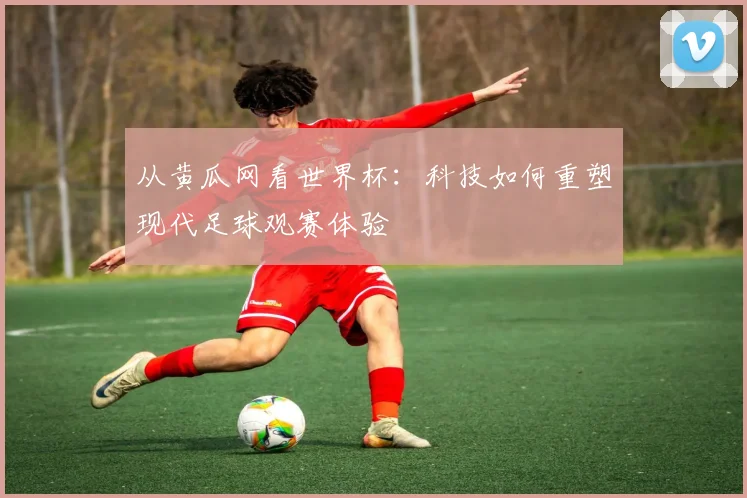 从黄瓜网看世界杯:科技如何重塑现代足球观赛体验