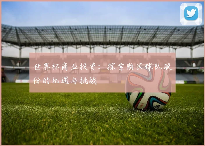 世界杯商业投资：探索购买球队股份的机遇与挑战